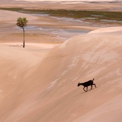 when ur growing up...