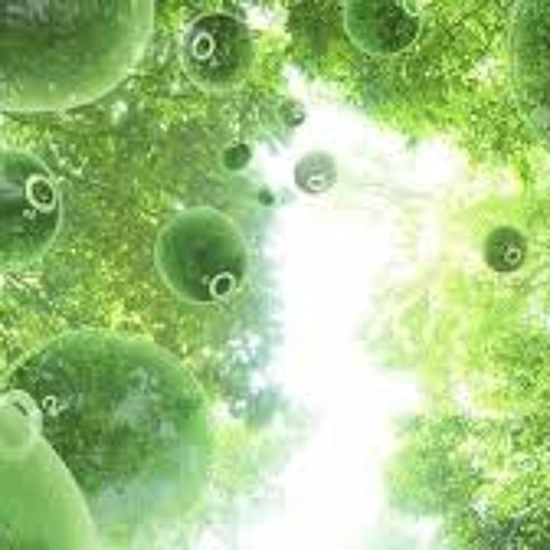 Photosynthesis "Wanna Get My Life Back" CLEAR RECOVERY 08.12.16 CC