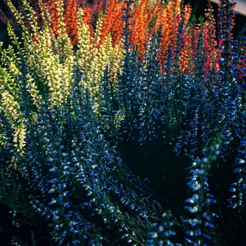 [NIGHTCORE] Alesha Dixon - Stop Ft. Wretch 32 | SRNO Remix