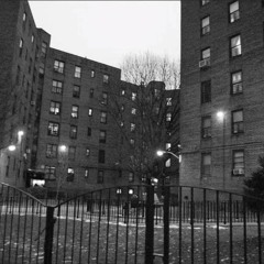 Dudu NY RULES Prod Low Beats