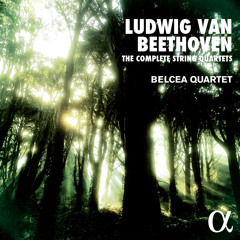 BEETHOVEN // String Quartet No. 16 in F Major, Op. 135: III. Lento assai, cantante e tranquillo