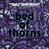 Download Video: Bed Of Thorns (Stickerbrush Symphony / Forest Interlude Cover)