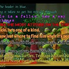 Teenage Mutant Ninja Turtles 2012 theme song