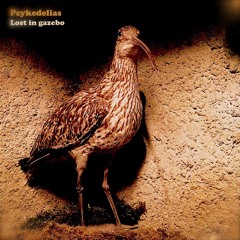 01. Psykedelias - Head Spinning Round