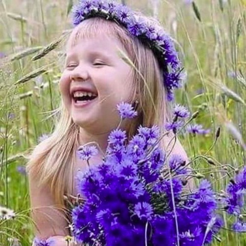 ليه يا بنفسج