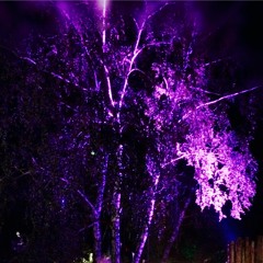 Matekk_die Erde dreht sich In mir_3.1_2016-08-19 15H28M22