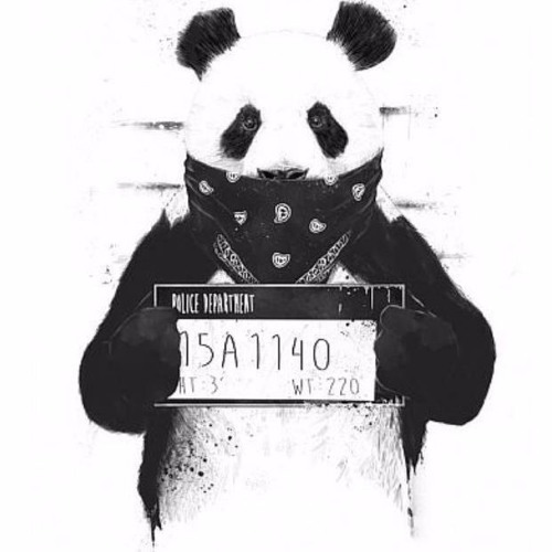 Desiigner Panda -D.S.S X FLAMEZ HOODxB.X. NIDDY