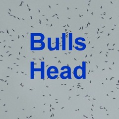 BullsHead