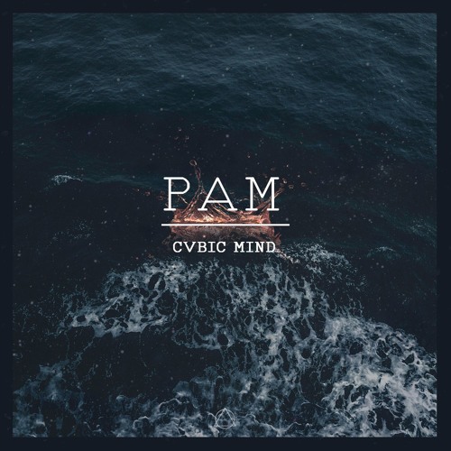 Cvbic Mind - Pam