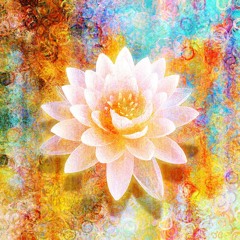 Denis Oness - Lotus Blossom