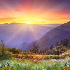The Virtues Of The Day Of Jumuah By Abu Hakeem