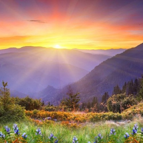 The Virtues Of The Day Of Jumuah By Abu Hakeem