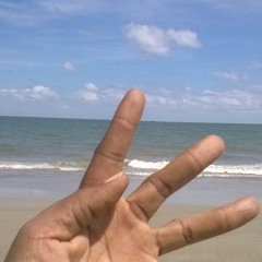 RIPPA BOI - WE STUPID