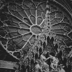 Enter the Void