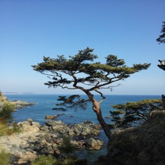 욕심없어 (No Greed)