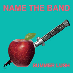 NAME THE BAND - "Summer Lush"