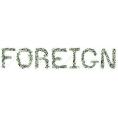 Dlyric x Dougiieebabyy-Foreign.mp3