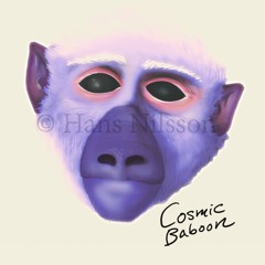 Galactic Baboon