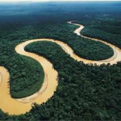 Amazonas
