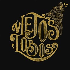 ViejosLobos - Vagabundo.