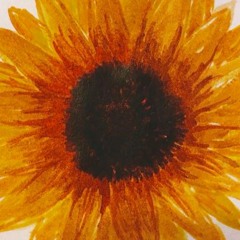 Sunflower - Single