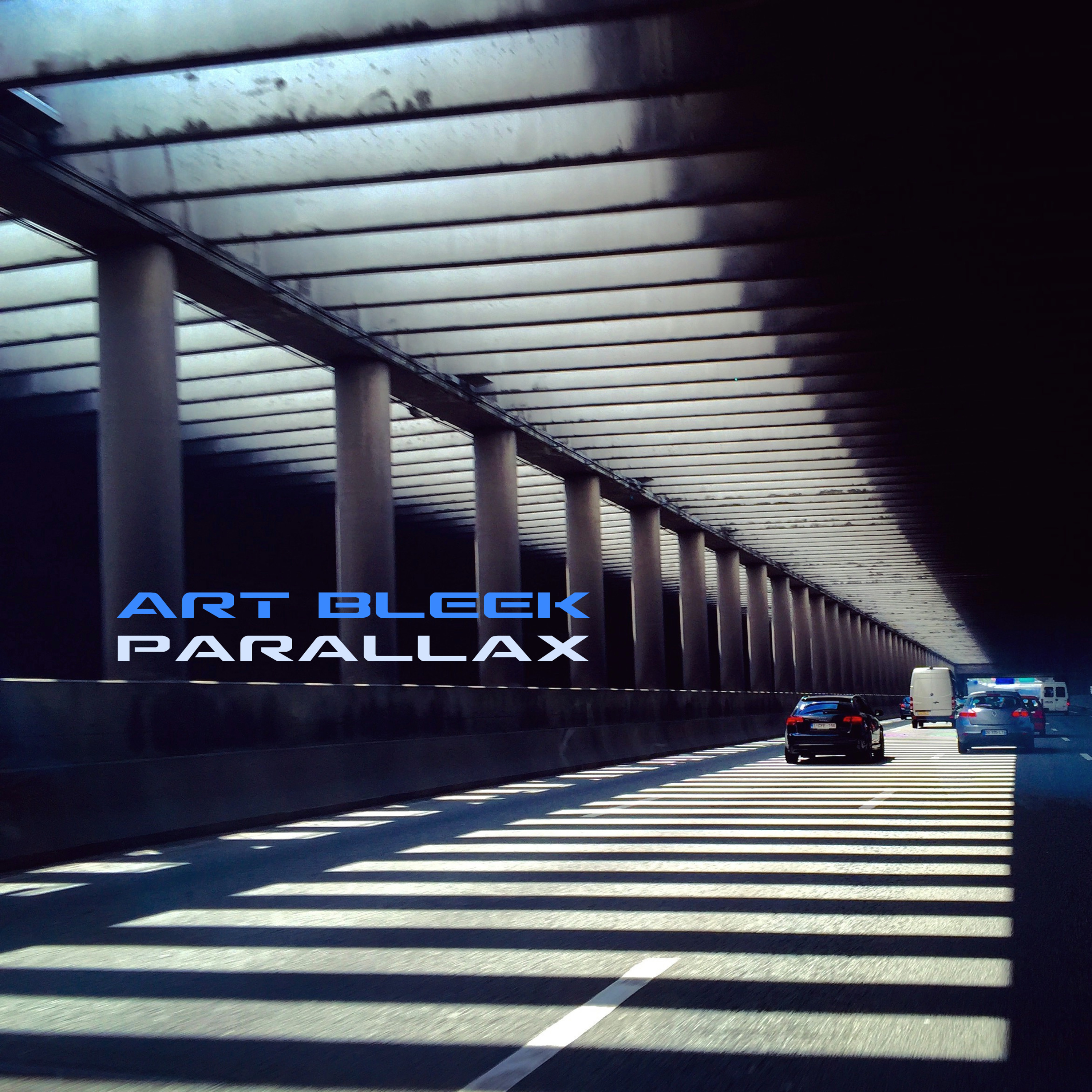 Art Bleek