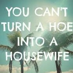 Hoes into a Housewife "Practice Session" Written and Produced By Nino Spikes