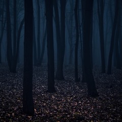 Nightfall(prod. by Lucero & Jay)