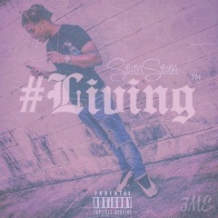 SeanSean- #Living