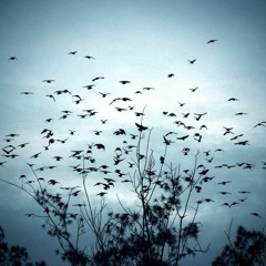 Fly Away * Rap / Sing / Instrumental *