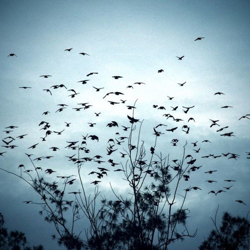 Fly Away * Rap / Sing / Instrumental *