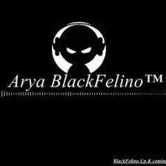 Arya BlackFelino™ - Florida SLow MeLow 2016 (BB DUTCH NATION)