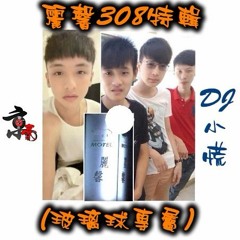 DJ 小慌 - 麗馨308特輯【玻璃球專屬】