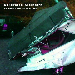 Schnelle Kicks Im Urwald