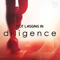Not Lagging In Diligence
