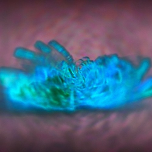 Internal - In The End  (FREE DOWNLOAD)