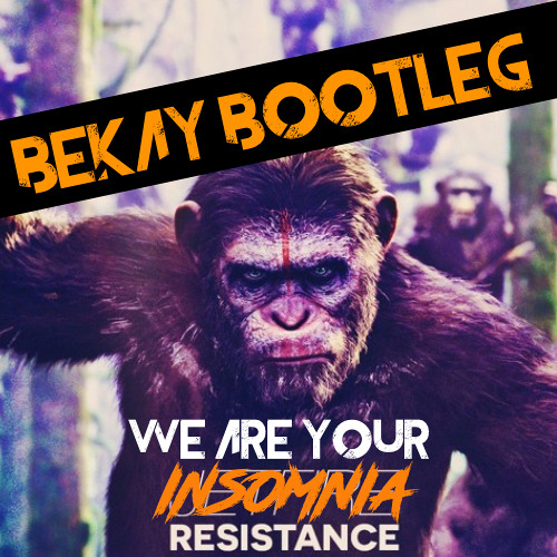 WE ARE YOUR INSOMNIA RESISTANCE (BEKAY BOOTLEG)
