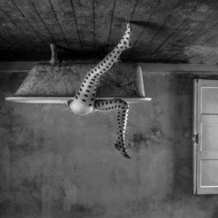 Live from the cupboard 88