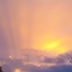 New private playlist