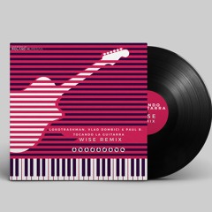 LokoTrashman, Vlad Dombici & Paul B. - Tocando La Guitarra (WISE Remix )