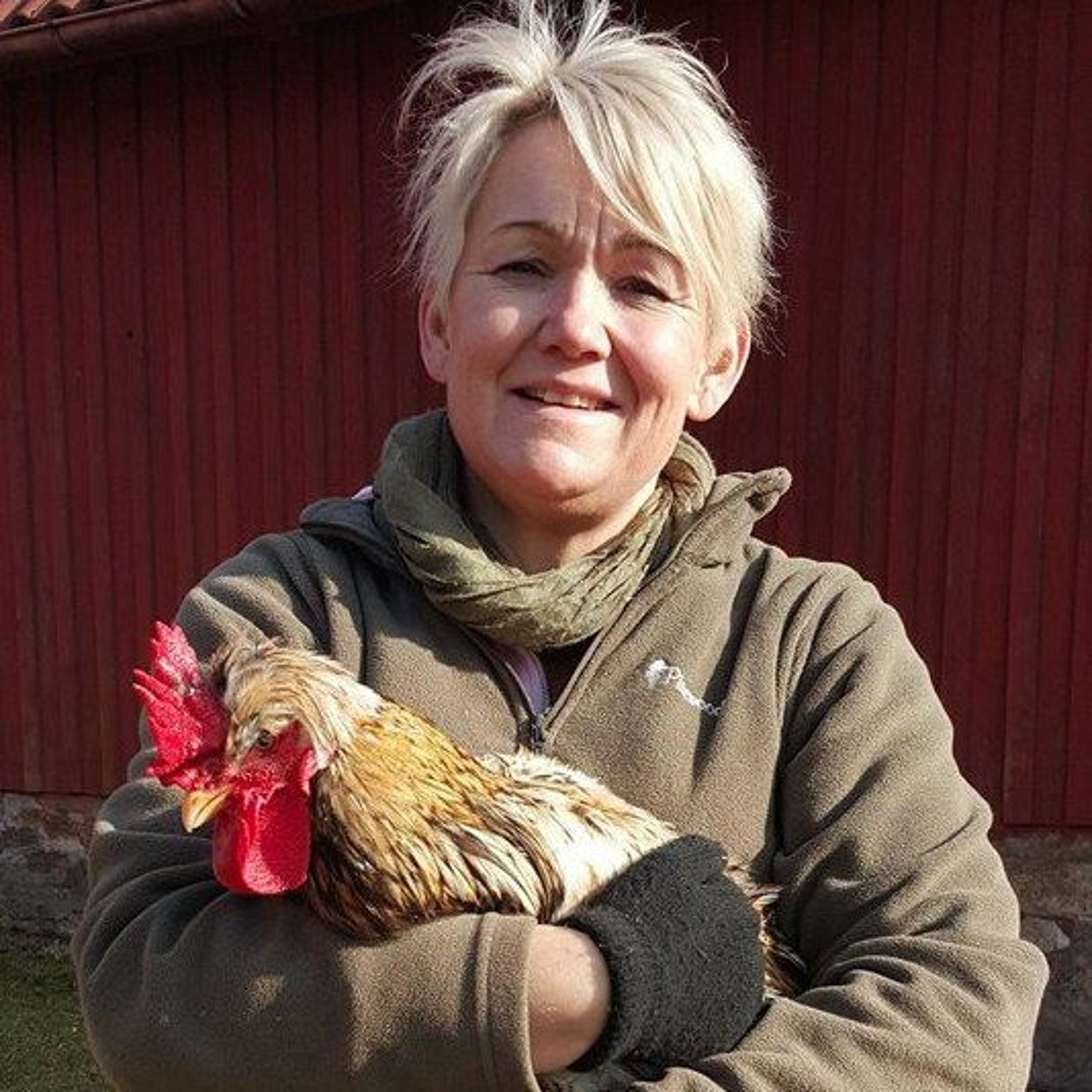 Drömmen om Målajord