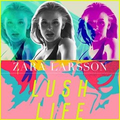Zara Larsson - Lush Life (S3RVO Remix)