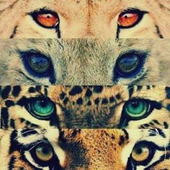 What Is House Music (Original Mix )