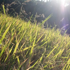 Slow Dancing In A Burning Room (cover)