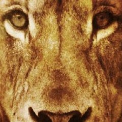 MARCUS BLACK feat LF PIDIERON FIGHTING