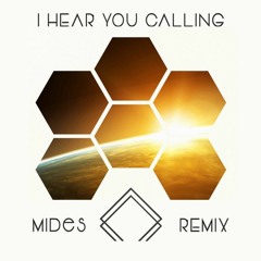 Markus Schulz ft. CAYO - I Hear You Calling (MIDES Remix)