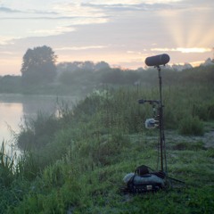 Poranek nad Biebrzą - Early morning on the Biebrza river