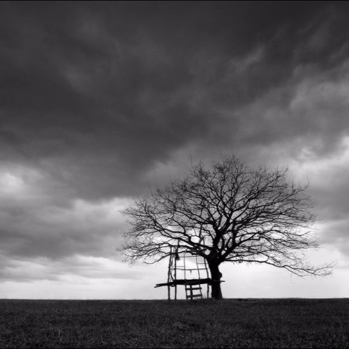 Everything Will Be Okay, I Promise..