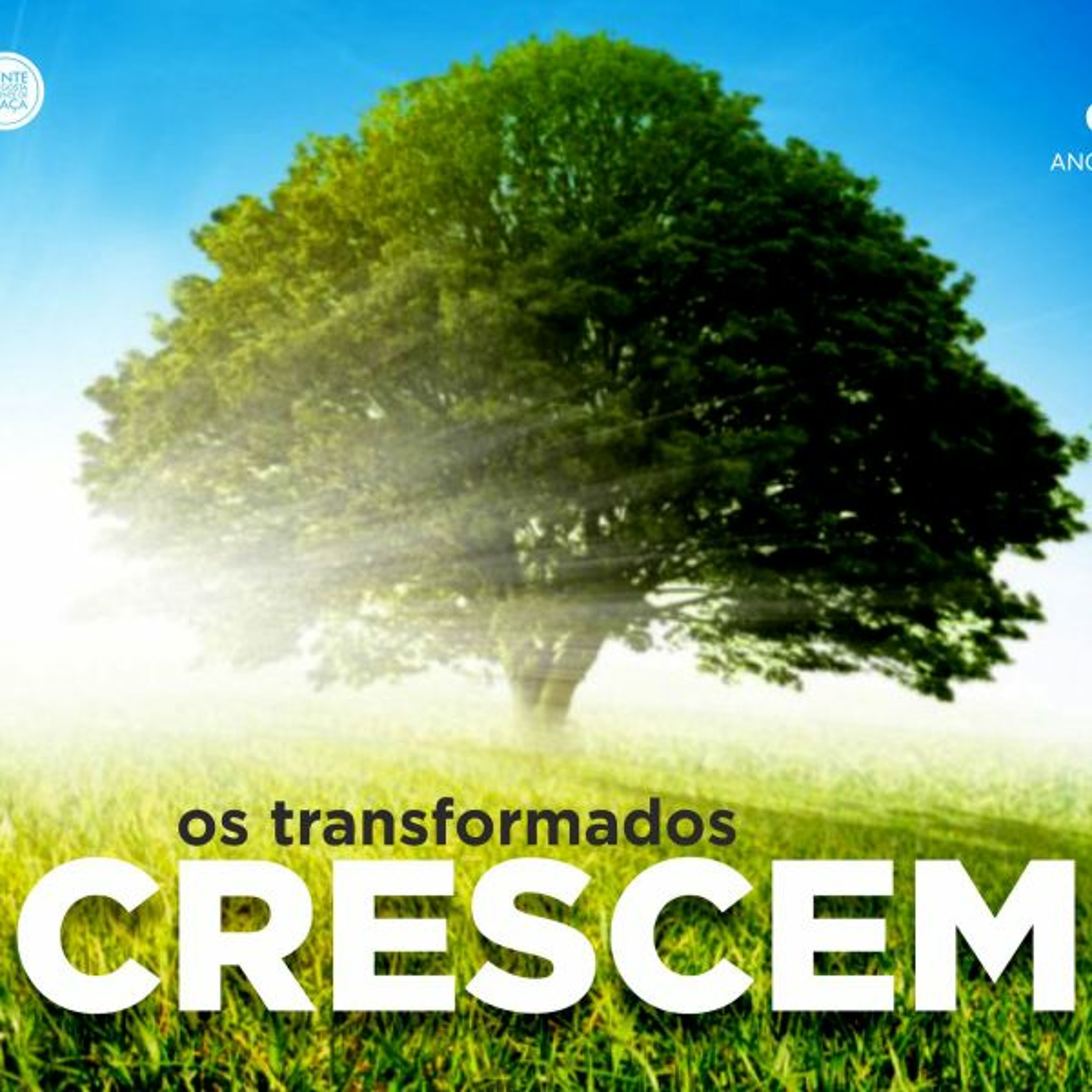 PAES Piedade