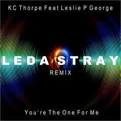 Youre The One For Me  (Leda Stray Remix Radio Edit)